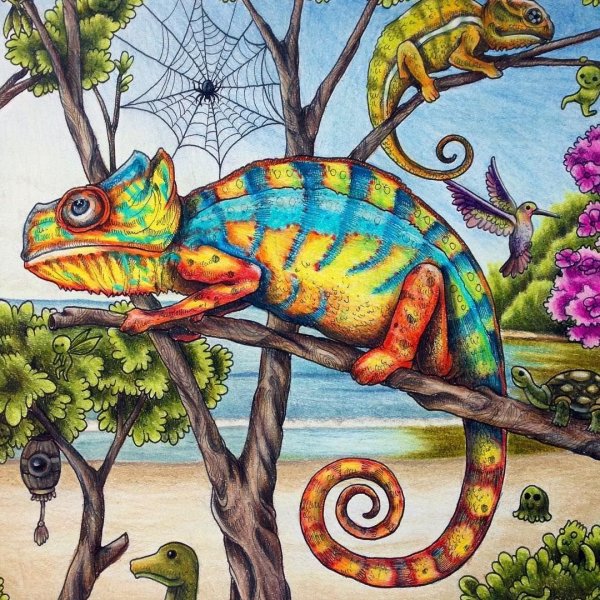 Хамелеон рисунок