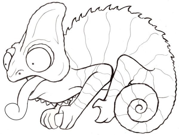 Картинки хамелеона для срисовки