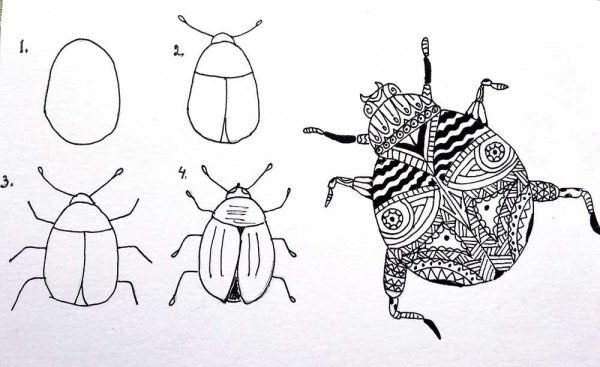Эскизы насекомых