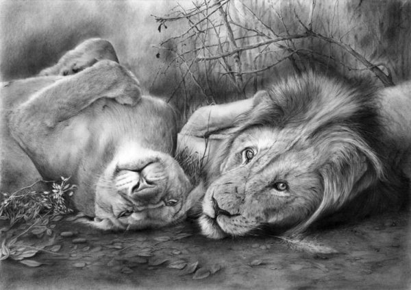 Рисунки карандашом