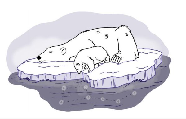 Макет для рисования белый медведь