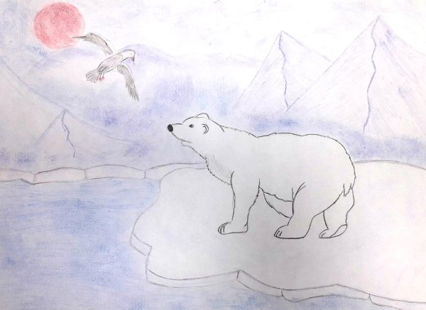 Поэтапное рисование белый медведь для дошкольников