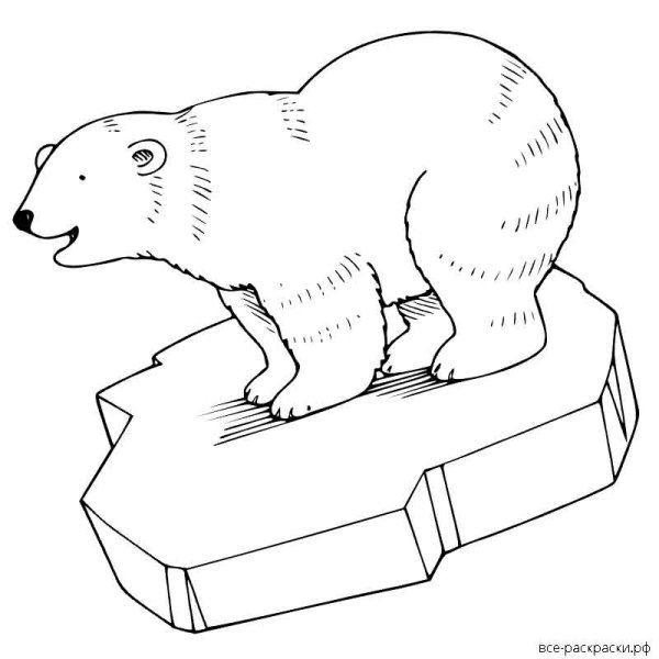 Трафарет белый медведь на льдине