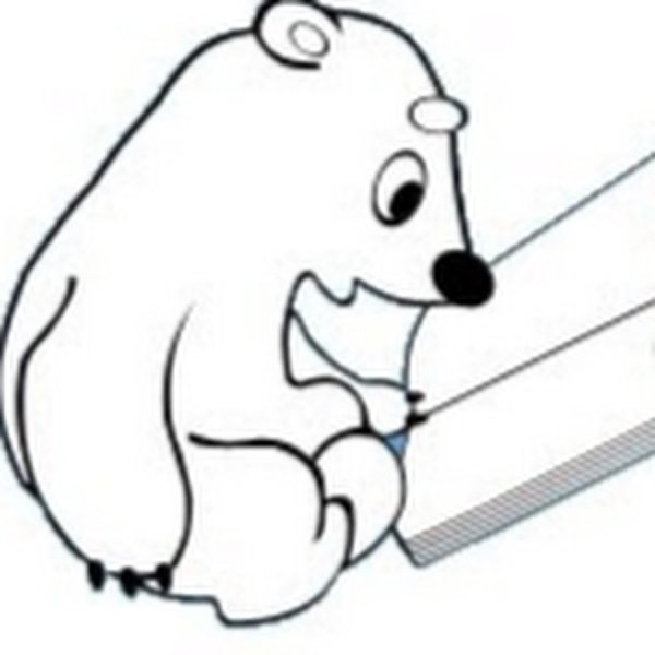 Белый медведь раскраска для детей