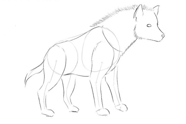 Гиена рисовать