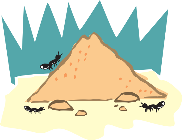 Муравейник для детей