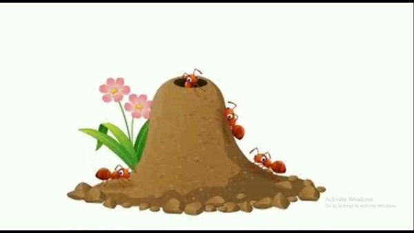 Муравейник для детей мультяшная