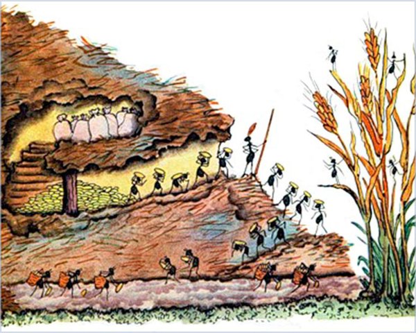 Муравейник дом муравьев