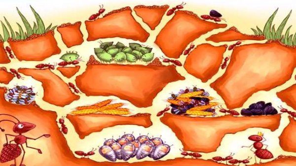 Муравей Муравейник муравьишка