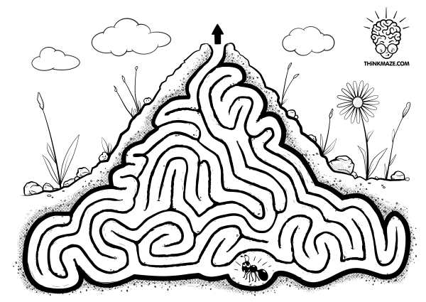 Как зимуют муравьи в муравейнике