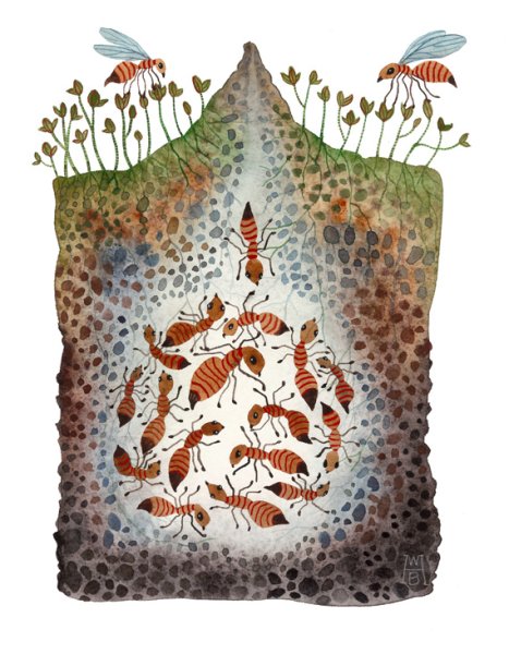 Муравейник в разрезе