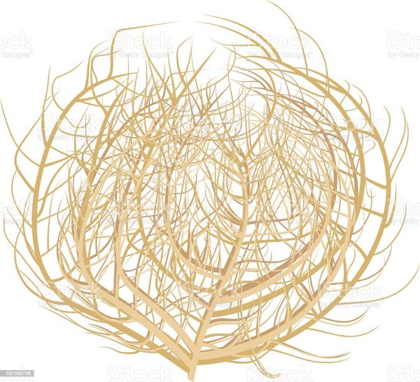 Перекати поле арт