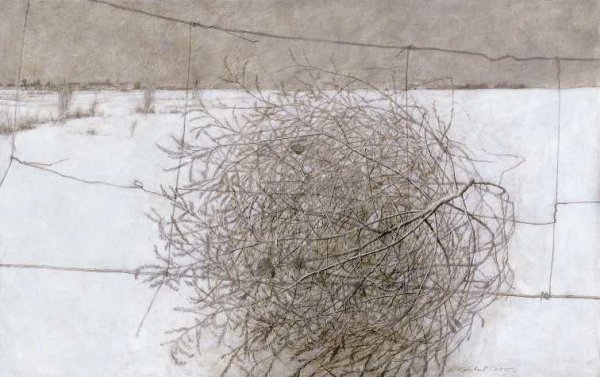 Перекати поле вектор