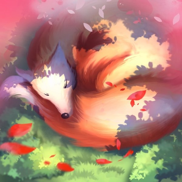 Кицунэ лиса Радуга