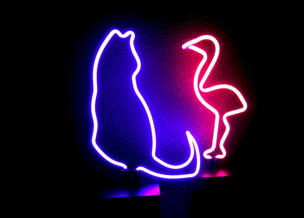 Неоновая вывеска кот