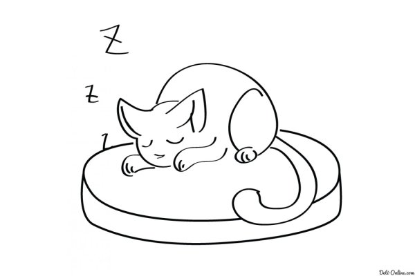 Раскраска спящий котенок
