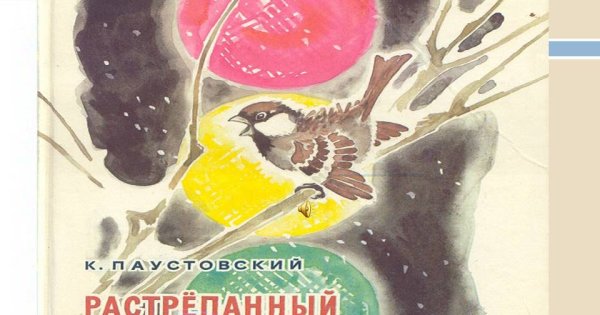 Иллюстрации к рассказу Паустовского растрепанный Воробей