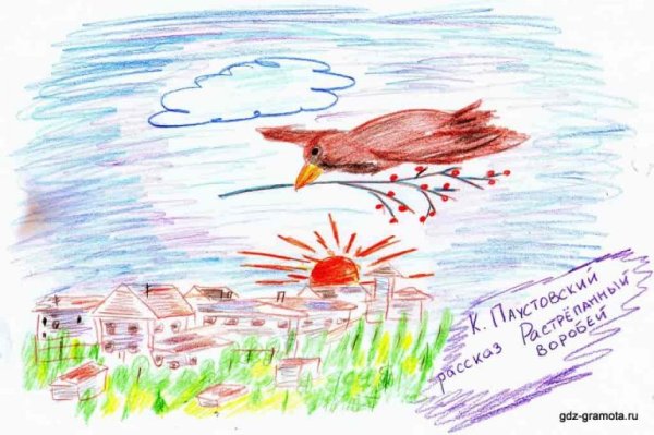 Взъерошенный Воробей рисунок