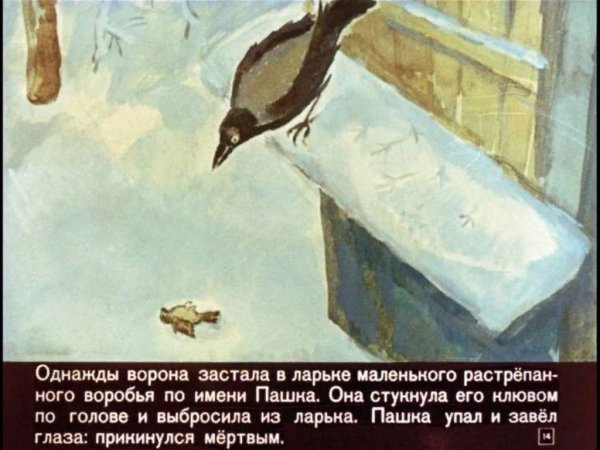 Диафильм растрепанный Воробей Паустовский