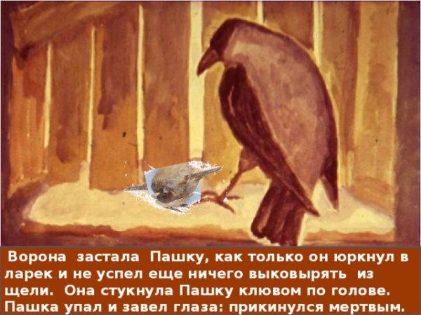 Герои растрепанного воробья