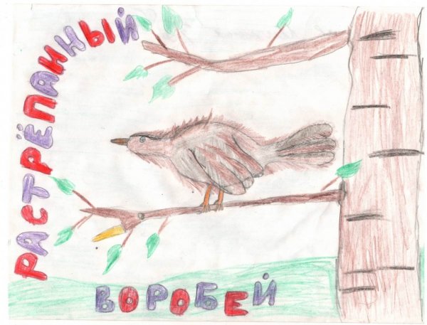 Константин Паустовский растрёпанный Воробей 3 класс