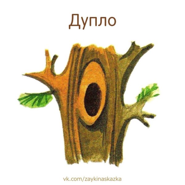 Дупло в сосне