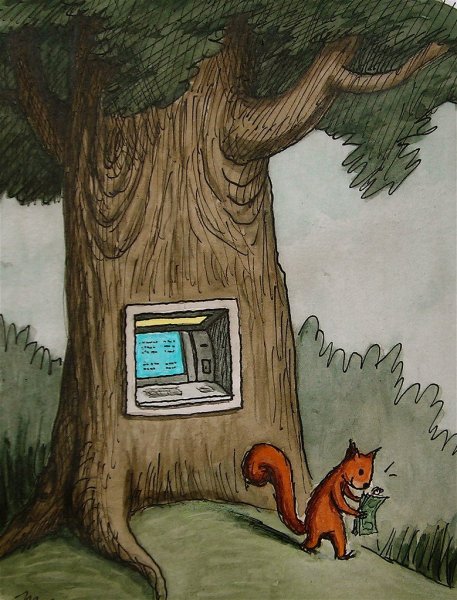 Франко Маттичино белка