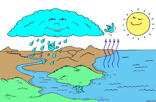 Круговорот воды в природе для детей