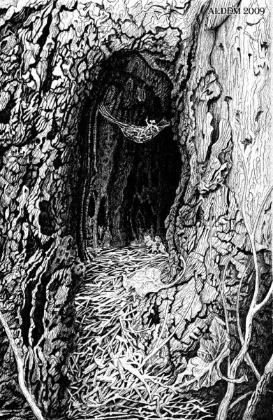 Кора дерева с дуплом