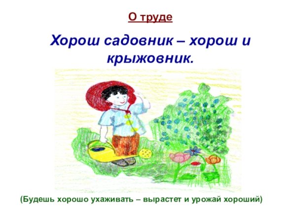 Пословицы в картинках