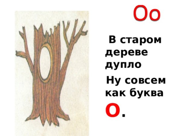 Дерево с дуплом