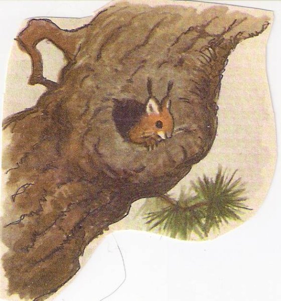 Дупло карандашом