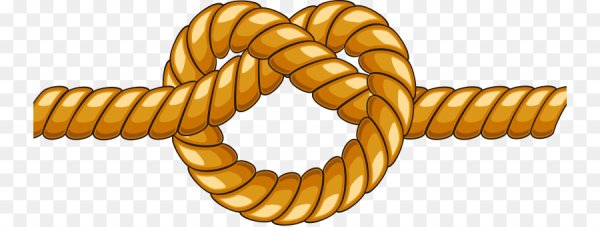 Веревка вектор