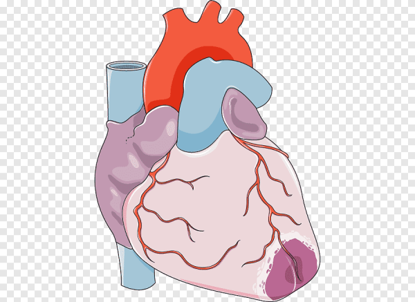 Инфаркт миокарда иконка