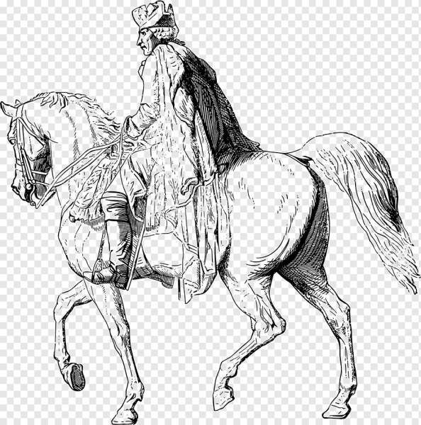 Всадник Графика