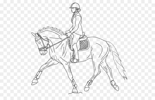 Раскраска лошадь выездка