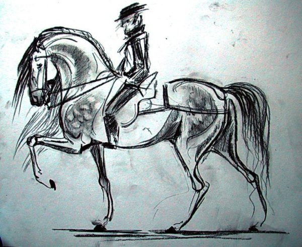 Скетч лошадь и всадник