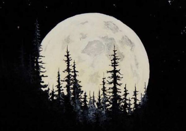 Черный лес с луной