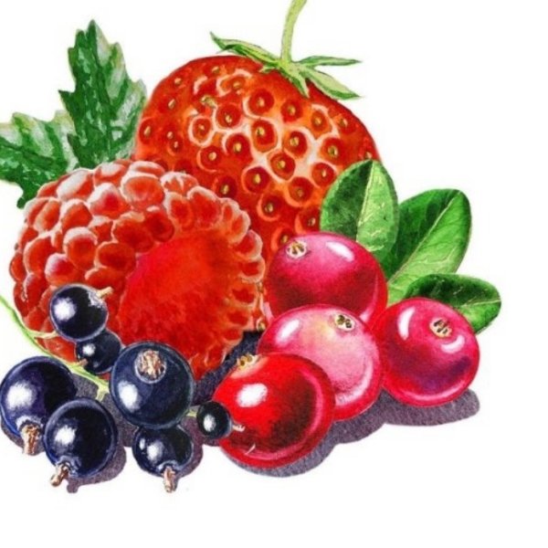 Ягоды картинки для детей