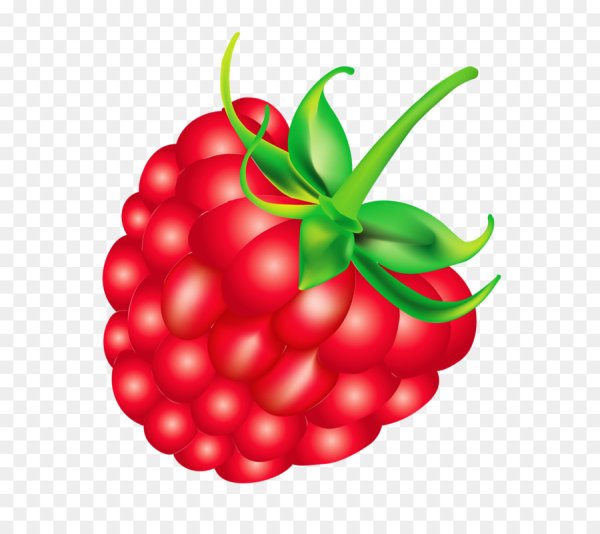 Малина для детей