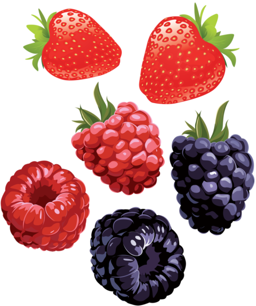 Ягодки для печати