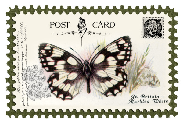 Почтовые марки