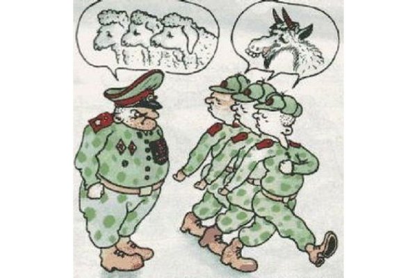 Дух слон дембель