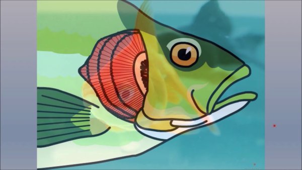 Жабры рыбы рисунок