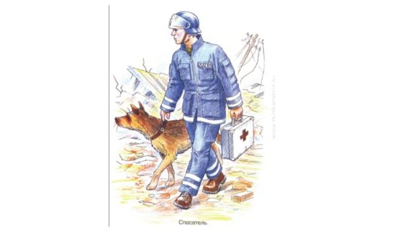 Собака спасатель рисунок
