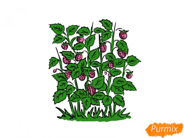 Кустик земляники