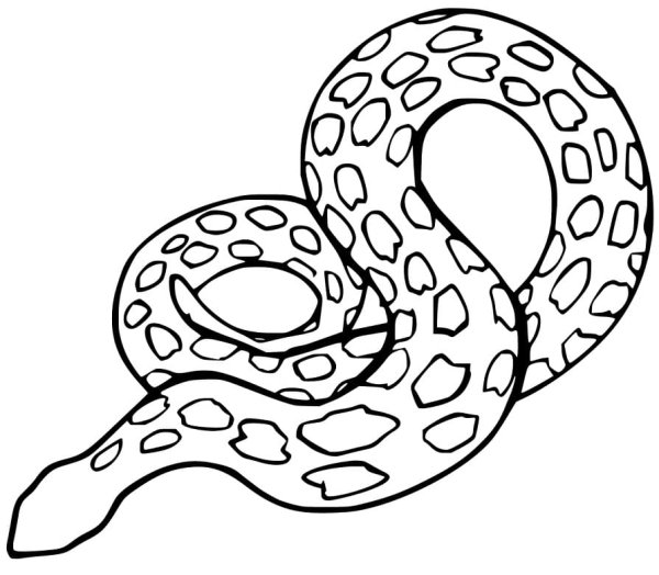 Анаконда раскраска для детей
