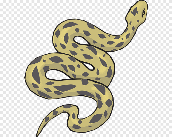 Анаконда вектор