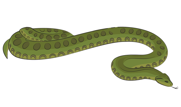 Анаконда 3д