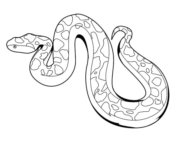 Змея раскраска
